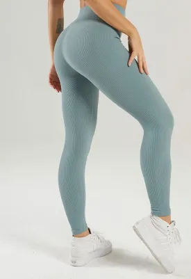 Solid Ribbed High Waist Seamless Legging - Century